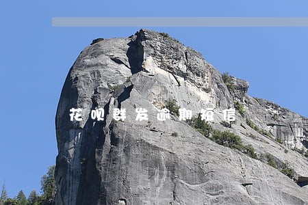 花呗群发逾期短信 花呗群发逾期短信
