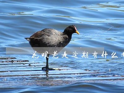 花呗老是逾期有什么影响