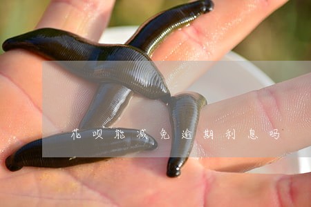 花呗能减免逾期利息吗 花呗能减免逾期利息吗