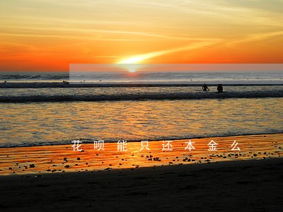 花呗能只还本金么 花呗能只还本金么