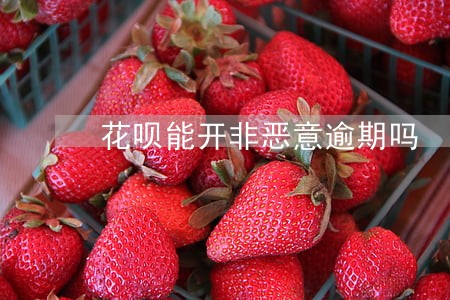花呗能开非恶意逾期吗 花呗能开非恶意逾期吗
