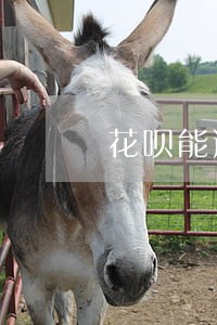 花呗能逾期一个月再还吗 花呗能逾期一个月再还吗