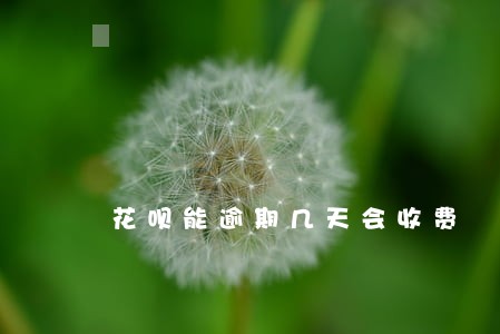 花呗能逾期几天会收费 花呗能逾期几天会收费