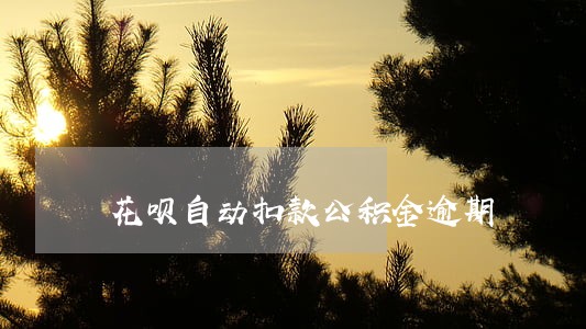 花呗自动扣款公积金逾期 花呗自动扣款公积金逾期