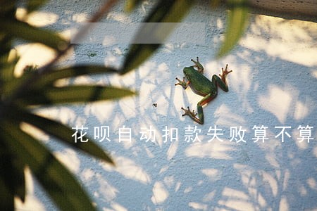 花呗自动扣款失败算不算逾期 花呗自动扣款失败算不算逾期