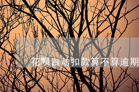 花呗自动扣款算不算逾期 花呗自动扣款算不算逾期