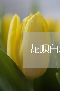 花呗自动还款不会逾期吧 花呗自动还款不会逾期吧