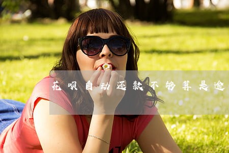 花呗自动还款不够算是逾期吗 花呗自动还款不够算是逾期吗