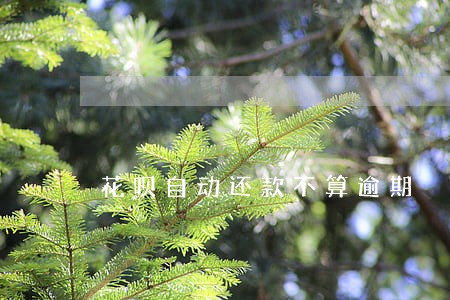 花呗自动还款不算逾期 花呗自动还款不算逾期
