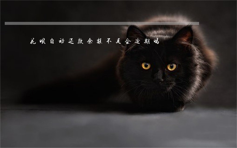 花呗自动还款余额不足会逾期吗 花呗自动还款余额不足会逾期吗