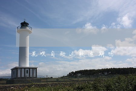 花呗自动还款逾期吗 花呗自动还款逾期吗