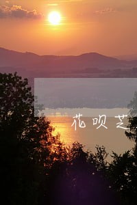 花呗芝麻粒怎么修复逾期 花呗芝麻粒怎么修复逾期