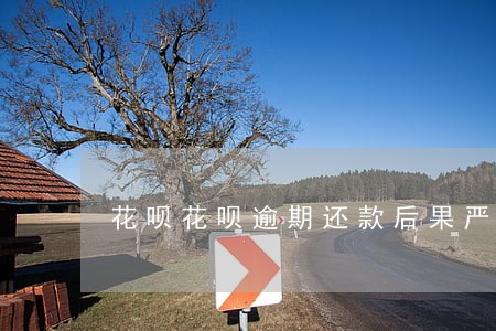 花呗花呗逾期还款后果严重 花呗花呗逾期还款后果严重