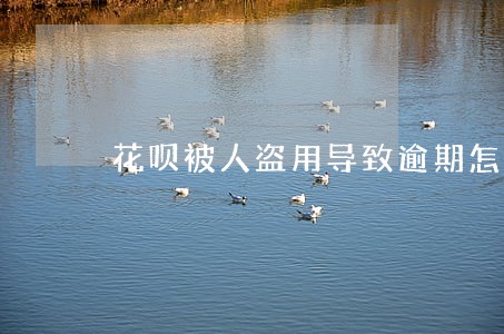 花呗被人盗用导致逾期怎么办 花呗被人盗用导致逾期怎么办