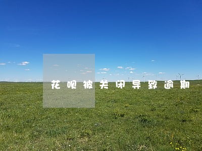花呗被关闭导致逾期 花呗被关闭导致逾期