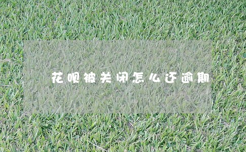 花呗被关闭怎么还逾期 花呗被关闭怎么还逾期