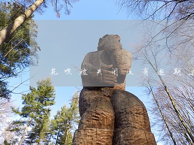 花呗被关闭没有逾期过 花呗被关闭没有逾期过