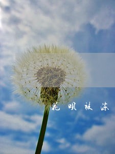 花呗被冻结其他软件逾期 花呗被冻结其他软件逾期