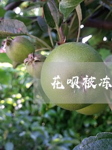 花呗被冻结后能逾期吗 花呗被冻结后能逾期吗