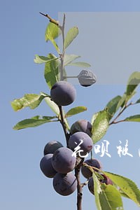 花呗被冻结后逾期会怎么样 花呗被冻结后逾期会怎么样