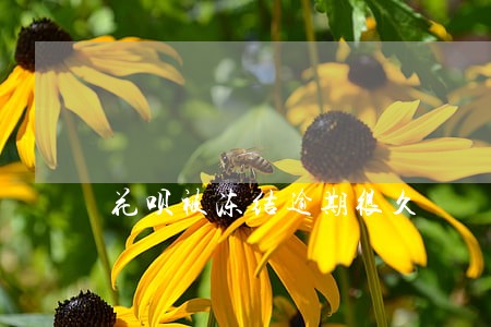 花呗被冻结逾期很久 花呗被冻结逾期很久