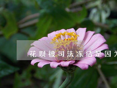 花呗被司法冻结是因为逾期吗 花呗被司法冻结是因为逾期吗