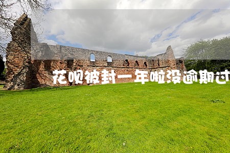 花呗被封一年啦没逾期过 花呗被封一年啦没逾期过