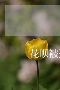 花呗被盗刷逾期要收逾期费 花呗被盗刷逾期要收逾期费