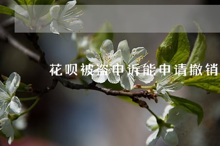 花呗被盗申诉能申请撤销逾期记录 花呗被盗申诉能申请撤销逾期记录