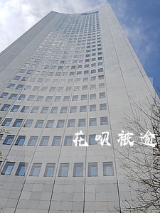 花呗被逾期一年 花呗被逾期一年