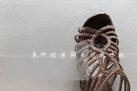 花呗被逾期关闭照片流 花呗被逾期关闭照片流