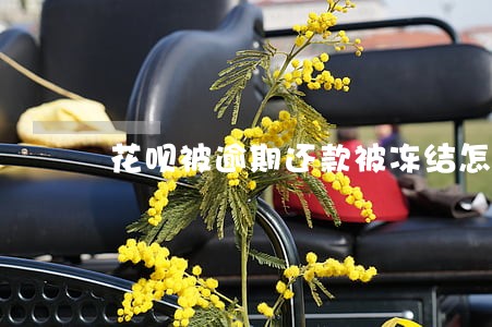 花呗被逾期还款被冻结怎么办 花呗被逾期还款被冻结怎么办
