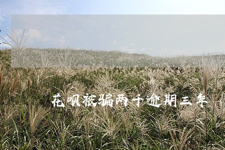 花呗被骗两千逾期三年 花呗被骗两千逾期三年
