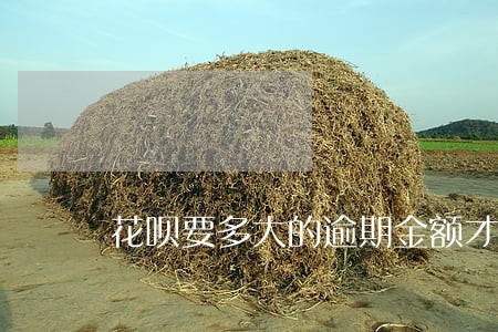 花呗要多大的逾期金额才能上征信