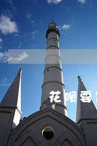 花呗要是逾期了会有利息吗 花呗要是逾期了会有利息吗
