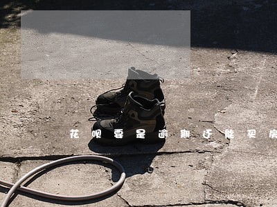 花呗要是逾期还能买房子吗 花呗要是逾期还能买房子吗