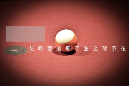 花呗要逾期了怎么联系花呗客服 花呗要逾期了怎么联系花呗客服