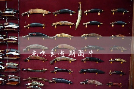 花呗要逾期图片 花呗要逾期图片