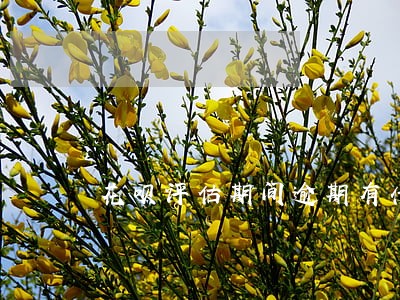 花呗评估期间逾期有什么后果 花呗评估期间逾期有什么后果