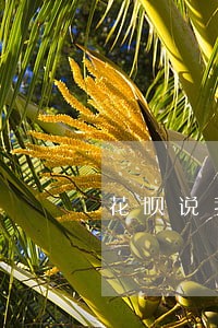 花呗说我微贷逾期 花呗说我微贷逾期