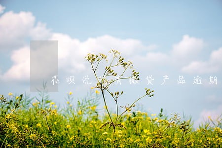 花呗说我有微贷产品逾期 花呗说我有微贷产品逾期