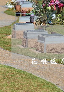 花呗说有微贷产品逾期 花呗说有微贷产品逾期