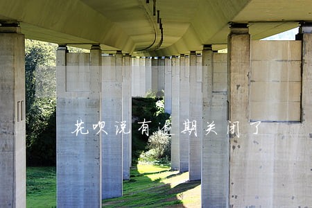 花呗说有逾期关闭了