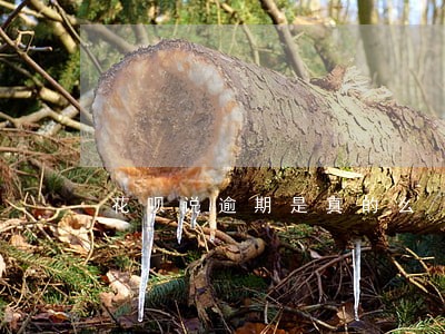 花呗说逾期是真的么 花呗说逾期是真的么