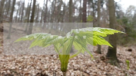 花呗负债逾期处理 花呗负债逾期处理