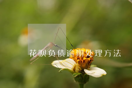 花呗负债逾期处理方法 花呗负债逾期处理方法