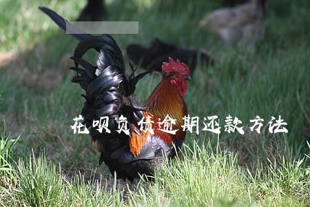 花呗负债逾期还款方法 花呗负债逾期还款方法