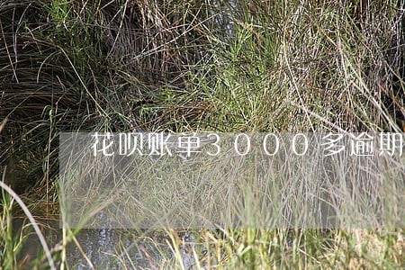 花呗账单3000多逾期图片 花呗账单3000多逾期图片