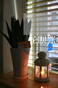花呗账单分期算逾期么 花呗账单分期算逾期么