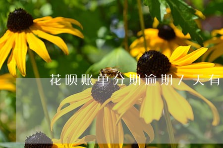 花呗账单分期逾期7天有没有事 花呗账单分期逾期7天有没有事